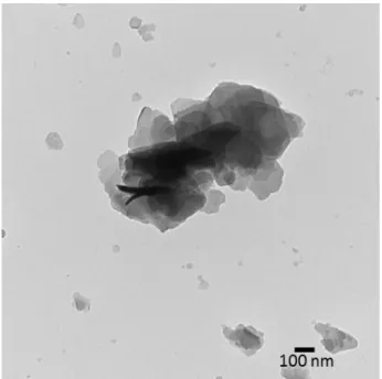 Figure S2: TEM image of LDH-F powder  710 