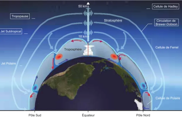 Figure 1.3: Coupe méridienne de l’atmosphère terrestre représentant la circulation et le transport dans les grandes cellules troposphériques et stratosphériques.
