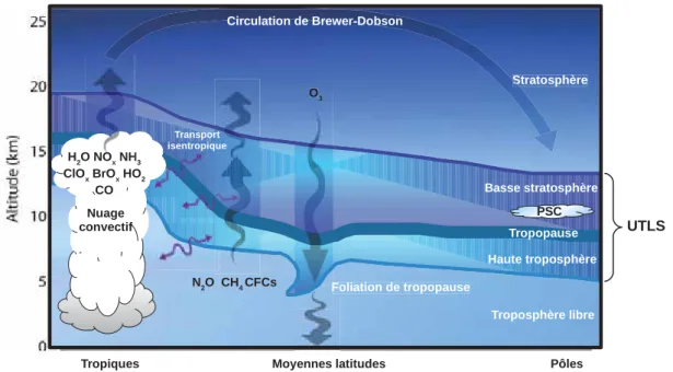 Figure 1.20: Schéma représentant la haute troposphère et la basse stratosphère (UTLS) et les principaux échanges chimique entre ces deux réservoirs.