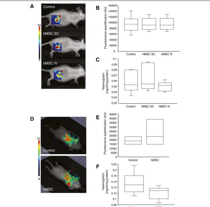 Figure 5 In vivo evaluation of tumour angiogenesis. (A and D) Representative three-dimensional fluorescence images of mice bearing SC tumours (A) or lung tumours (D) treated or not with hMSCs, after IV injection of 50 μM Alexa700-labeled RAFT-c( − RGDfK-) 