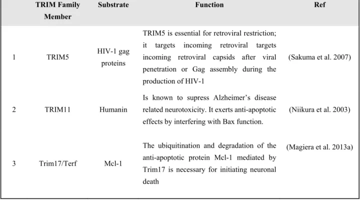 Table  V  shows the list of few TRIM members that have been identified as E3s alongside their  functions
