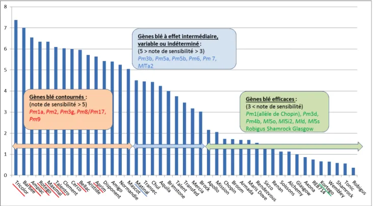 Figure 1 : Classement des gènes de résistance du blé tendre selon leur efficacité contre les populations d’oïdium  triticale par utilisation de tests sur jeunes plantes de 34 hôtes différentiels blé tendre et 9 triticales (soulignés)  dans 46 environnement