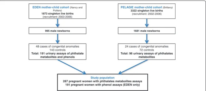 Figure 1 Flow Chart of Study Population, Composed of Pregnant Women from Eden and Pélagie Cohorts, France, 2002–2006.