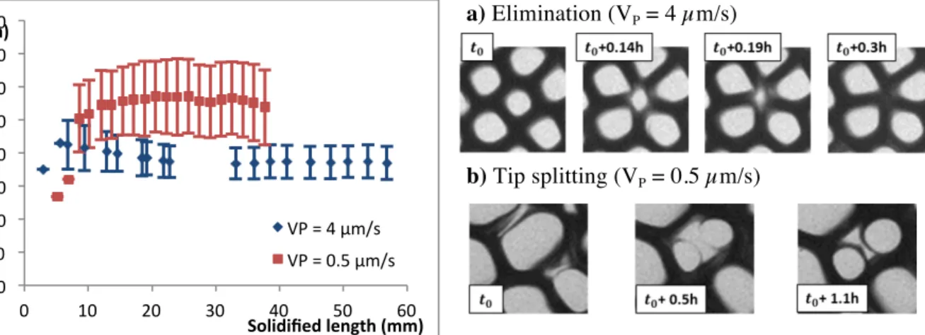 Fig.  3:  Primary  spacing  evolution  as  a  function  of  the  solidified  length  for  V P   =  4  µm/s  and  V P   =  0.5  µm/s   (SCN - 0.24 wt% Camphor, G = 19 K/cm)