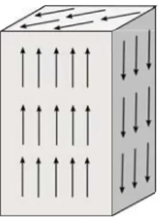 Figure 2.3: An example of load concentrated on the whole boundary of Q, deﬁned according to Example 2.1.3, with D = [ 0 , 1 ] 2 , h = 1 on { 1 } × [ 0 , 1 ] and [ 0 , 1 ] × { 1 } , while h = − 1 on {0} × [0, 1] and [0,1] × {0}