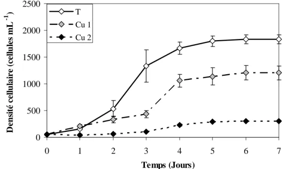 Figure 21.  Cinétiques  de  croissance  de  Skeletonema  costatum  lors  des  traitements  témoins  (T), et contaminés par le cuivre 2,02×10 -8  M (Cu 1) et 1,10×10 -6  M (Cu 2) (Densité cellulaire  moyenne ± écart type, n = 3) 