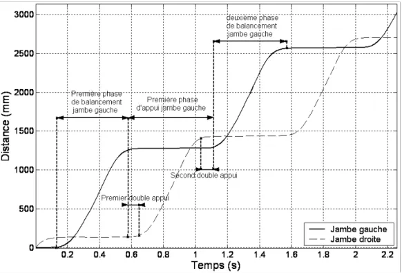 Figure 17. Distance parcourue par les pieds dans le plan sagittal lors de la marche 