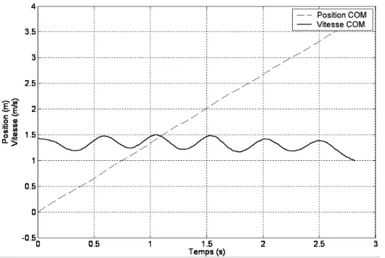 Figure 19. Courbes de position et de vitesse du Centre de Masse 