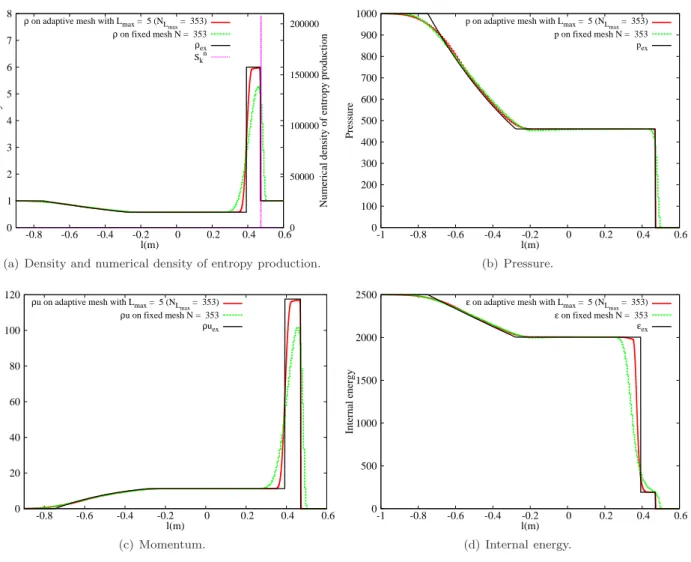 Figure 6: Test 3: numerical solution at time t = 0.02 s with L max = 5 computed with the AB1 scheme.