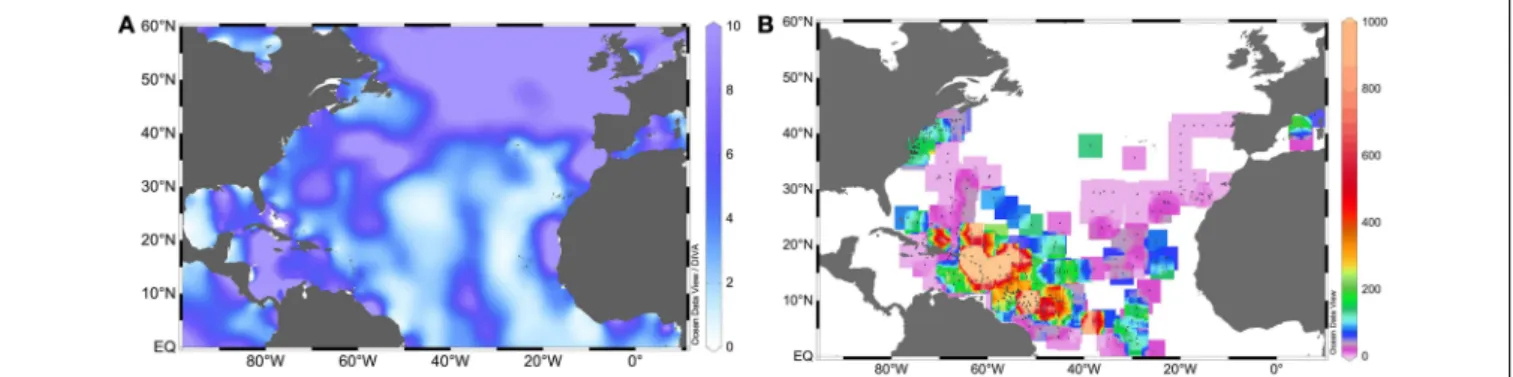 FIGURE 2 | Surface NA (A) N:P ratios (as nitrate divided by phosphate concentrations retrieved from the World Ocean Atlas 2013, Garcia et al., 2013), and (B) integrated N 2 fixation rates (in µmol N m − 2 d − 1 ) (data retrieved from the Luo et al