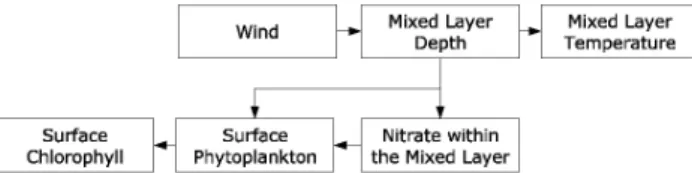Fig. 1. Illustration of the conceptual transfer function between wind errors and the variables of a coupled physical-biogeochemical model