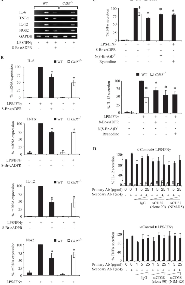 Fig 9 C 0255075100% IL-12 secretion * Cd38-/-WT* * * N(8-Br-A)D+LPS/IFNg8-Br-cADPR -- -+ ++--++ -Ryanodine - -  -+-+-N(8-Br-A)D+LPS/IFNg8-Br-cADPR---Ryanodine-0255075100%TNFa secretion+-++-+-+-+-+-*Cd38-/-WT*** 4080120 0 0 0 1 5 25 1 5 25 Primary Ab (mg/ml