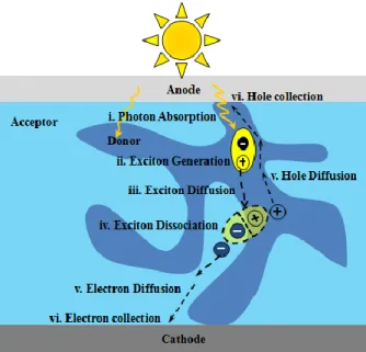 Figure 1. 8 The six steps of photo-conversion process in bulk heterojunction cells 