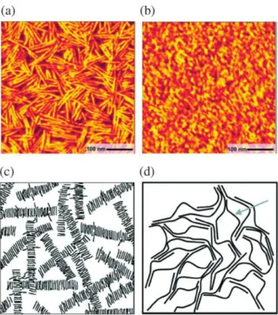 Figure 1. 21 AFM images of (a) crystalline rod-like morphology of low Mn P3HT (3.2 kDa) and (b) nodule structure for  high Mn P3HT film (31 kDa)