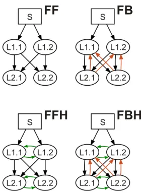 Figure 2: Four hierarchical circuits used in the experiment. The arrows de- de-pict projections and directions of information flow between the neural network modules