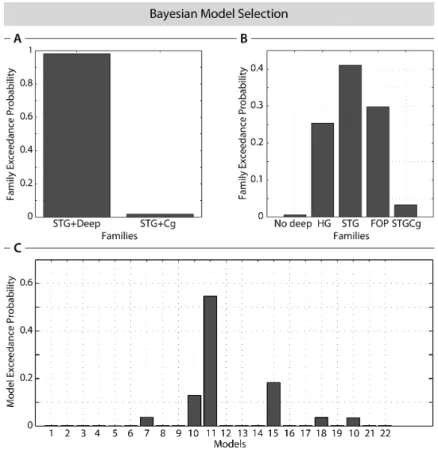 Figure 3: Bayesian model selection based on exceedance probabilities for different scenarios