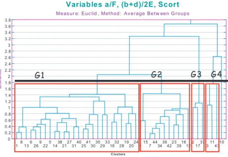 Fig. 8. Grouping of samples (n = 44).