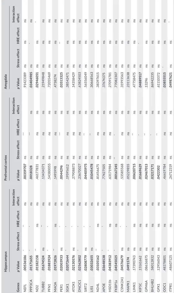 TABLE 2 Expression of stress‐responsive genes in the hippocampus, prefrontal cortex, and amygdala of adult mice having received a R