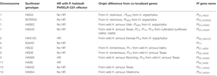 TABLE 4 | Hypersensitive reactions (HR) with P. halstedii PhRXLR-C01 effector and resistance gene names.