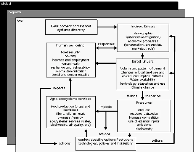 Figure 1. Conceptual framework for studying the impacts of drivers of crop-livestock systems  change (Adapted from MA, 2005)