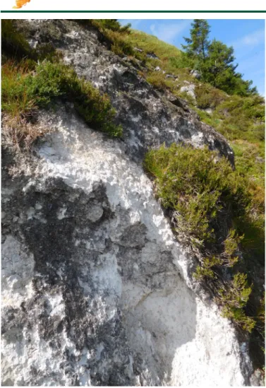 Figure  1  –  Couloir  domitique  sur  le  versant  nord  du  puy  de  Dôme.  On  distingue au premier plan une zone érodée, laissant apparaître la domite  nue ; des landes cryophiles et au second plan, le Gymnomitrio  corallioidis-Barbilophozietum sudetic