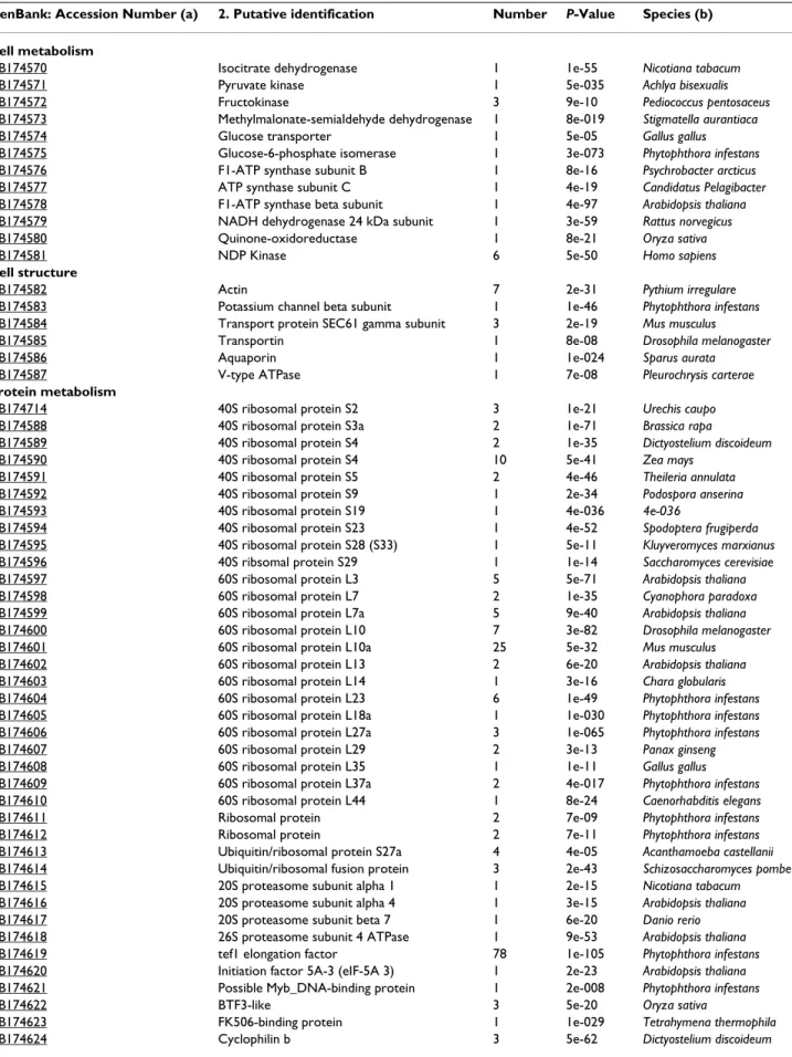 Table 3: Putative identification of Plasmopara halstedii cDNA confirmed by PCR