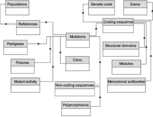 FIGURE 1. The relational database structure of the UMD. Each rectangle represents a table