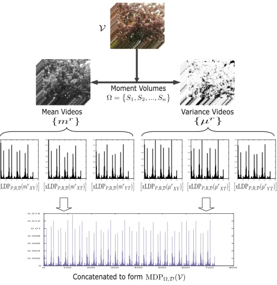 Figure 6: Illustration of structuring proposed DT descriptor.