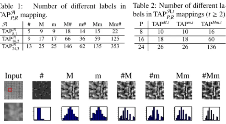 Table 1: Number of di ff erent labels in TAP A P,R mapping.