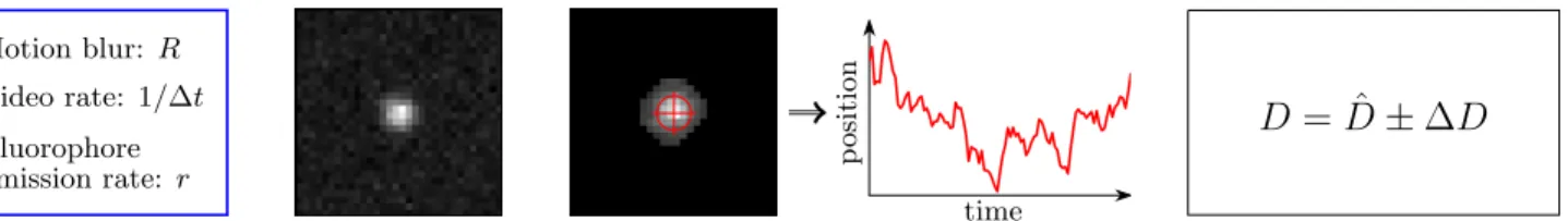 FIG. 1. (Color online) Workflow for estimating diffusion coefficients from camera-based single-particle-tracking experiments.