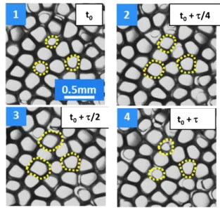Fig. 4  Motion of the interface during solidification: position 