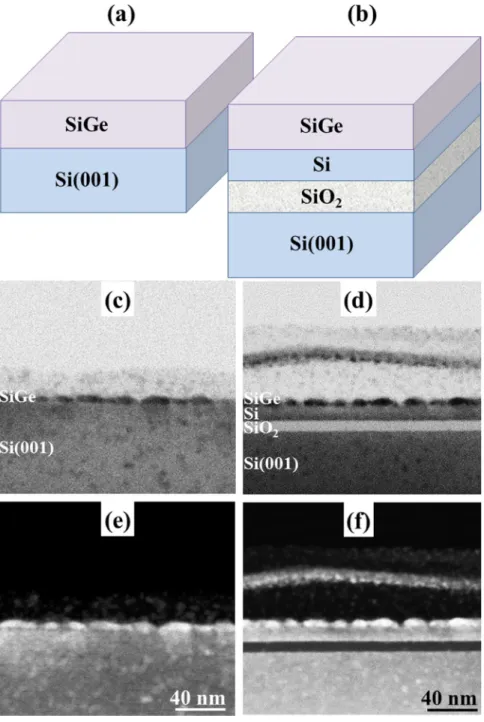 Figure 2.  Schematic representation of the two systems: (a) Si 1−x Ge x /Si and (b) Si 1−x Ge x /SOI; Cross-section  TEM (c) and (d) and ADF (e) and (f) images of Si 1−x Ge x  epitaxial layers with h SiGe  = 10 nm and x = 0.5 when  they are deposited on: S