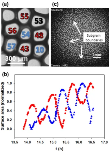 FIG. 10. (a) Oscillation in a regular square structure for V = 1 μm/s and G 1 = 19 K/cm