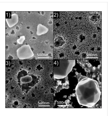 Figure 3 presents the influence of the thermal annealing on the morphology of the co-implanted Se/Te sample