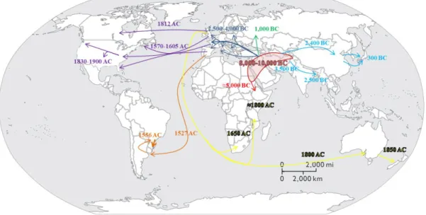 Figure  I-4 :  Worldwide  spread  of  Wheat  from  the  expected  origin  of  the  species  (red  area)  according  to  Bonjean and Angus (2001)