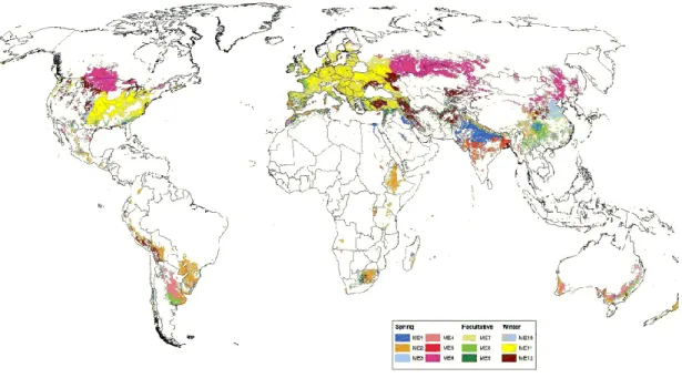 Figure II-2 : Distribution of the twelve wheat growing mega-environments identified by the CIMMYT (Source: 
