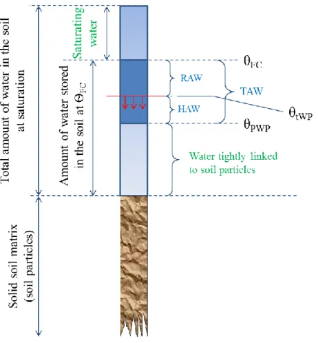 Figure  II-3 :  Diagram  of  the  different water  compartments  in  a  soil  in  terms  of  availability  for  plant