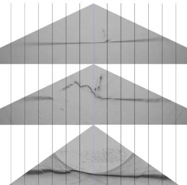 Fig. 1. Examples of WCI with different targets. Seabed is represented as a dark horizontal line