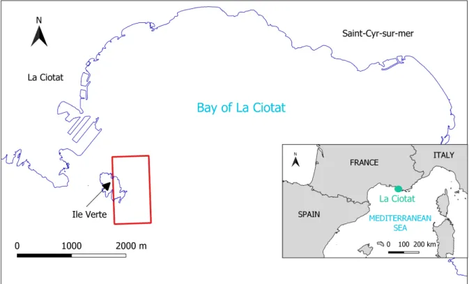 Fig. 2. Location of the “Les Pierres” study site (red frame) on the French Mediterranean coast in the La Ciotat bay, near the “Ile Verte” island.