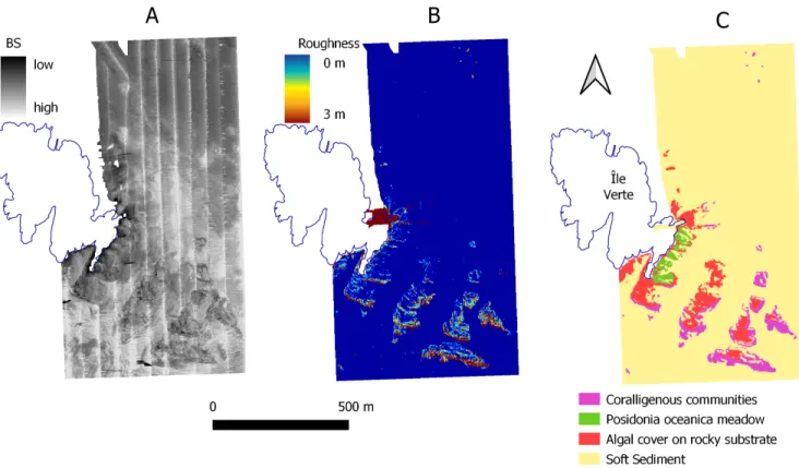 Fig. 4. Data from the acquisition survey mapped. A: the acoustic backscatter map, “sonar image”, the strength values are a no-dimension intensity