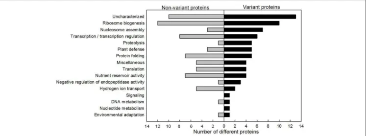 FIGURE 4 | Functional distribution of non-variant and variant nuclear proteins. Proteins identified showing no statistically significant change are represented on the left and the variant proteins are presented on the right.