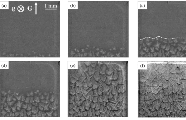 Fig. 3: Sequence of radiographs recorded during the solidification experiment A1 (refined Al- Al-20wt.%Cu in horizontal configuration, <V N > = 25.4 µm/s and <G N > = 5.9 K/mm), showing the  propagation of the solidification microstructure
