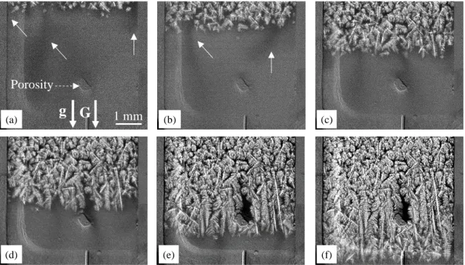 Fig. 7: Sequence of radiographs recorded during the experiment C1 (downward solidification  of a refined Al-20wt.%Cu, <V N > = 22.2 µm/s and <G N > = 6.8 K/mm), showing the propagation  of the solidification microstructure from the top-cold zon