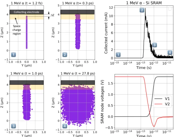 Fig. 3.  Cartoon of a single event upset occurring in the Si-SRAM due to the emission of a 1 MeV alpha particle in the space  charge region of the transistor drain