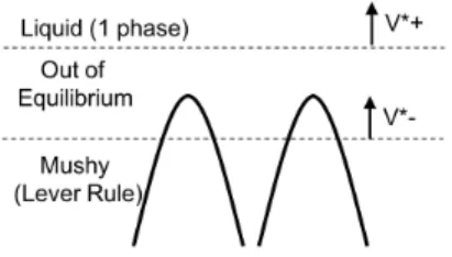 Figure 4: Schematic of the mushy / liquid interface showing the regions that are in equilibrium (Liquid, Mushy), and out-of equilibrium (Dendrite tips).