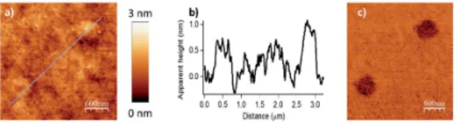 Fig. 5 Surface patterning with multiple molecular objects (F ¼ 2900 nN, D IL ¼ 8 nm, V scan ¼ 0.5 mm s "1 )