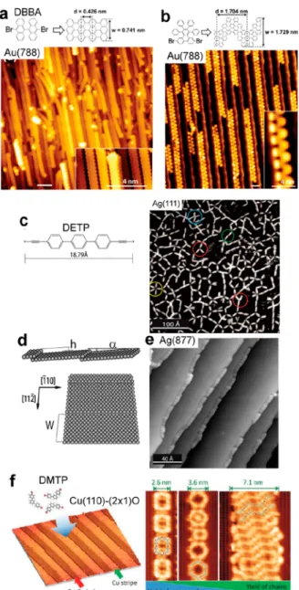 Figure 20. Substrate templating. The regular distribution of aligned atomic steps in vicinal surfaces allows for the formation of perfectly aligned straight (a) or zigzag (b) graphene nanoribbons (GNRs)