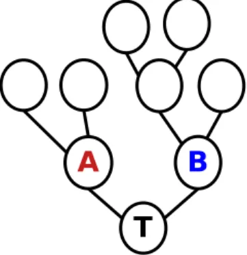 Fig. 1. Acyclic connected networks represent trees. To illus- illus-trate the terminology we use in the paper: node T is the trunk, it has two children (node A and B which have two children).