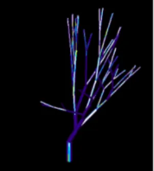 Fig. 3. A 3D rendering of a tree created from the model. The angle of the branches were chosen to make the drawing visually appealing but in our model trees exist as pure graphs free of spacial constraint.