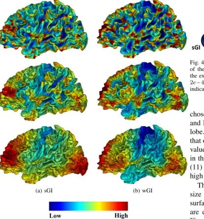 Fig. 3. The map of gyrification indices (a) sGI and (b) wGI of the left hemisphere of an individual subject from our database at 3 different scales.